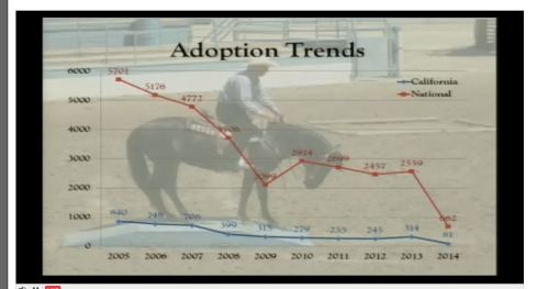 Screen shot of Adoption Trends Slide  at the BLM Wild Horse and Burro Advisory Board meeting April 14-15, 2014